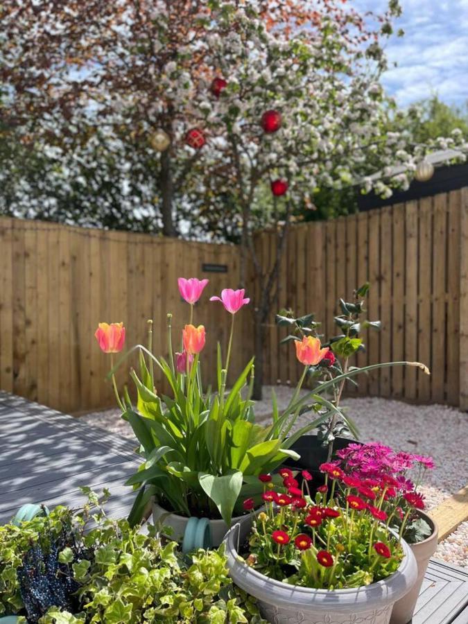 Lovely 2-Bed House In St Andrews Scotland Exteriör bild